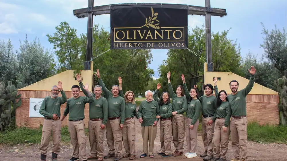 Against the Odds, Colombia’s Only Olive Farm Turns to Tourism