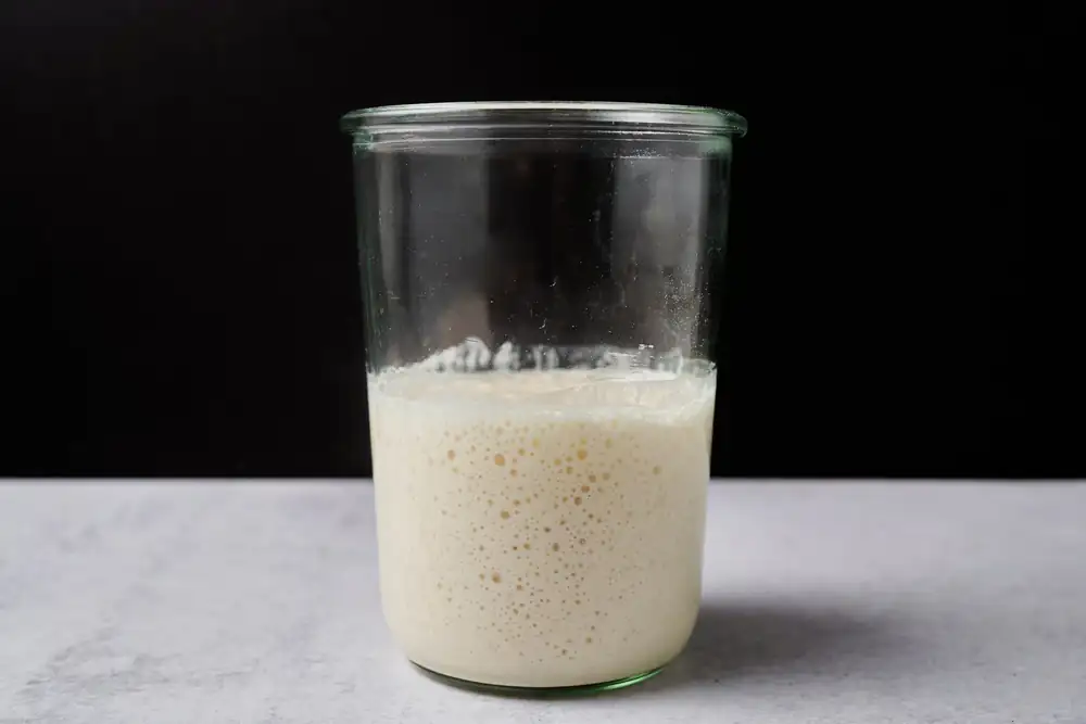 The Best Jar For Your Sourdough Starter