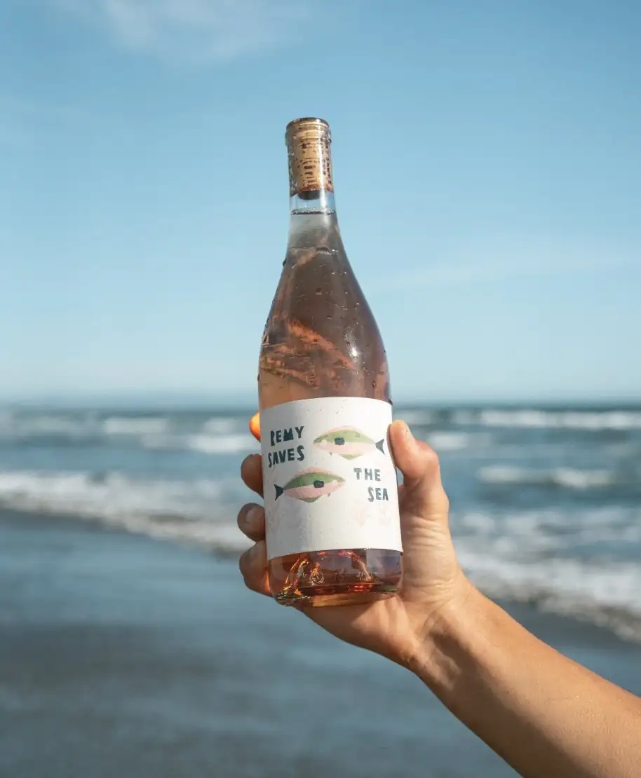 A Former Google Exec Takes Over Two Sonoma County Wineries