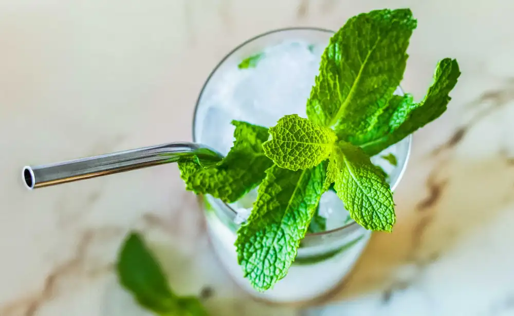 32 Cocktails for the Dog Days of Summer