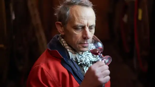 Pure Vins Vivants, pure and lively wines against organic flash pasteurization and Demeter cross-flow filtration