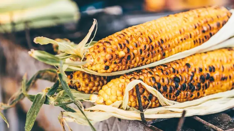 We Asked A BBQ Expert How To Actually Grill The Perfect Corn On The Cob