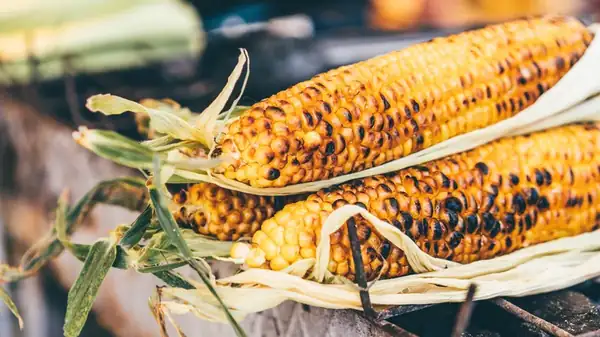 We Asked A BBQ Expert How To Actually Grill The Perfect Corn On The Cob