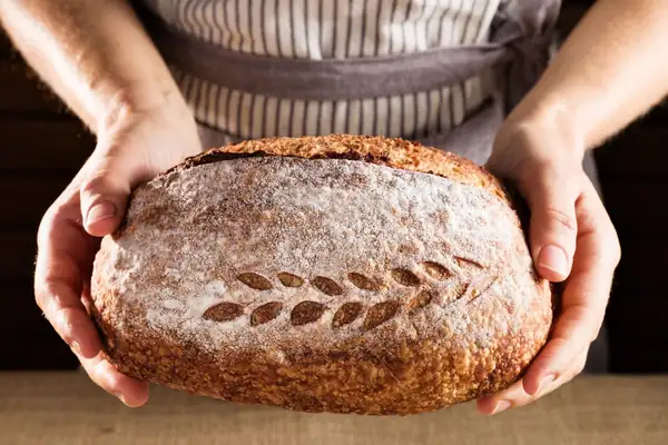 As good as bread, but which one?