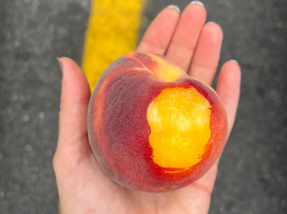 Nothing Is More Perfect Than an August Peach