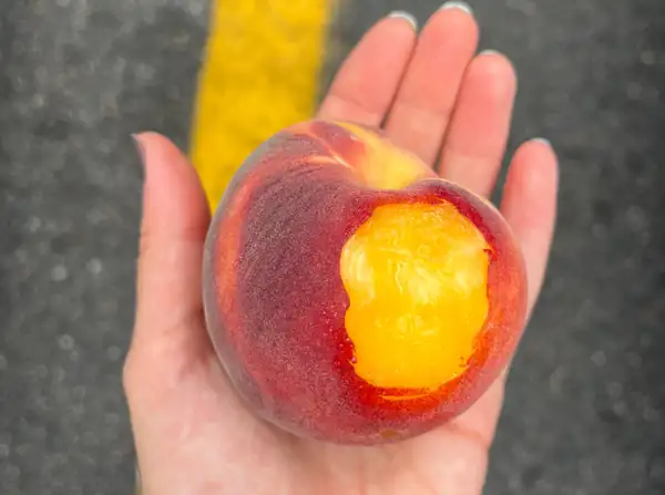 Nothing Is More Perfect Than an August Peach