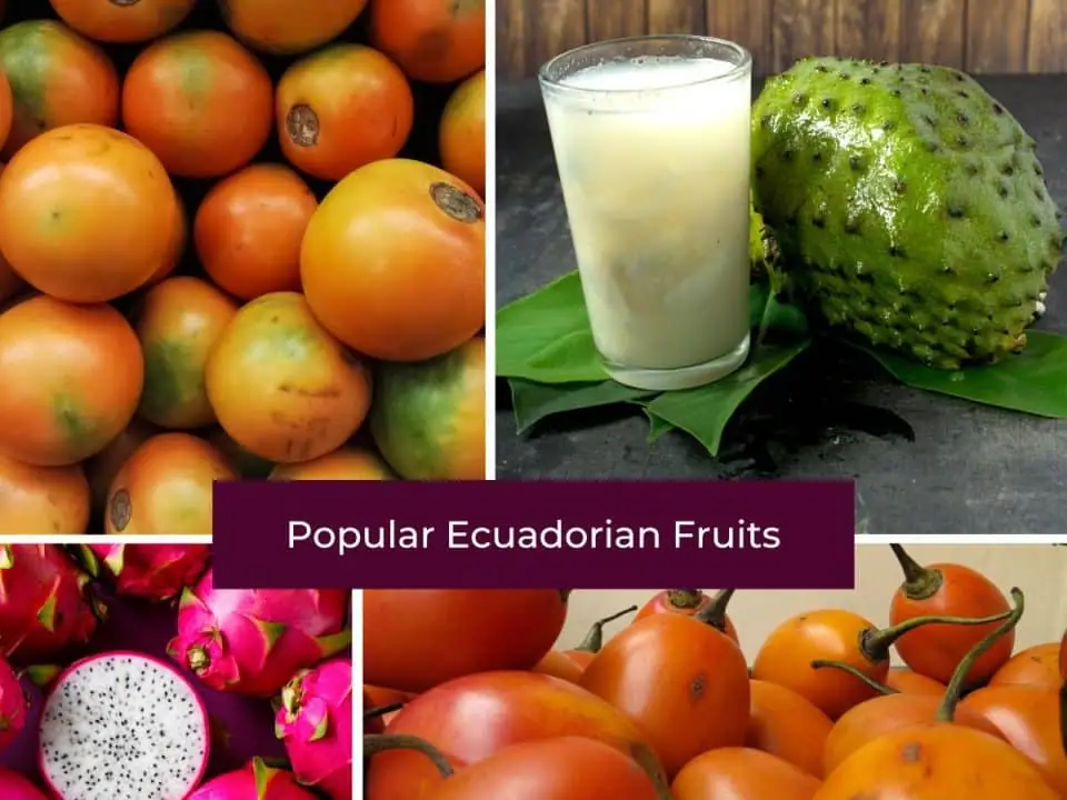 Most Popular Fruits of Ecuador