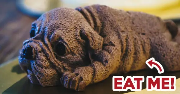 Nouveau Bakery: Lifelike Dog Cake By An Ex-Swissotel Chef At Bukit Panjang