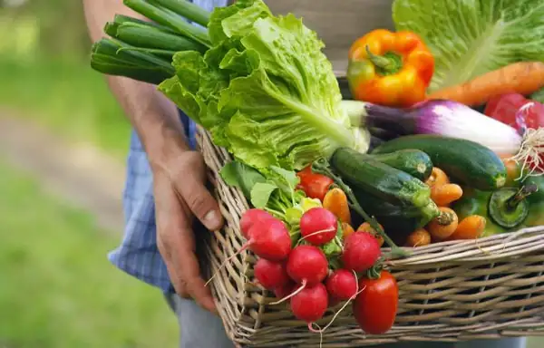 EU agricultural prices under pressure: revenues collapse (-5.8%), production costs increase (+4.7%)