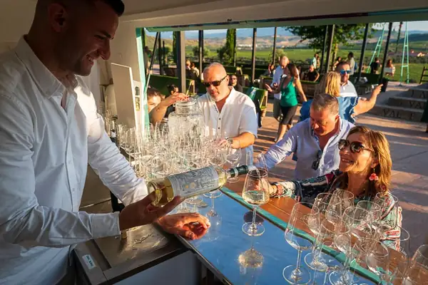 Cata de estrellas: Descubre los secretos del vino en las estrellas