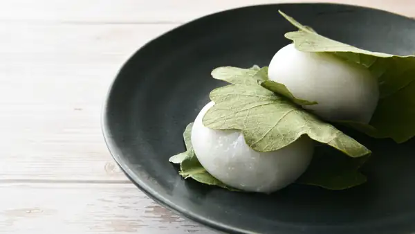 Are the leaves on kashiwa mochi edible? Or not? We'll explain the characteristics of the leaves and the meaning behind wrapping them around the mochi