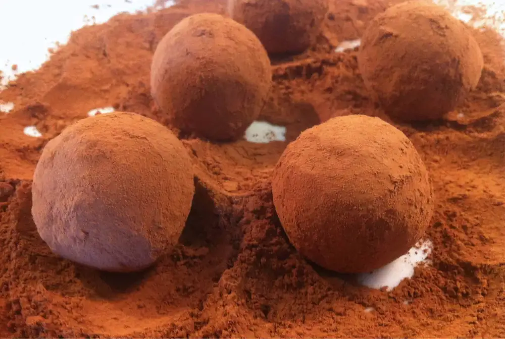 Walnut and biscuit Chocolate Truffles (Troufakia)