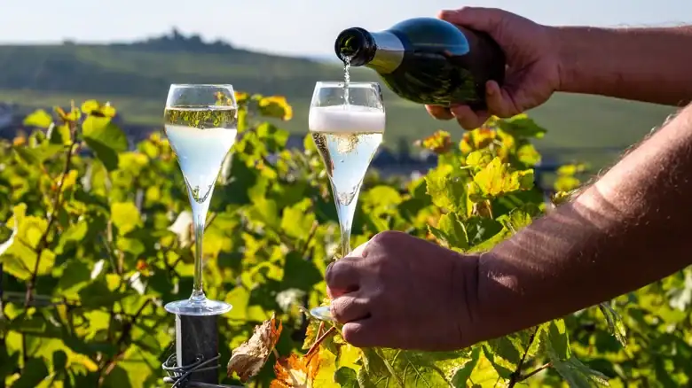 What Does Extra Dry Champagne Actually Mean?