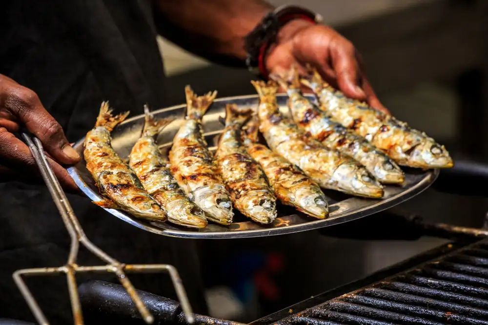Croatian Cooking: Grilled Sardines (Srdele Na Žaru)