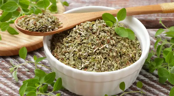 How to replace oregano in dishes: marjoram, thyme, basil and other options