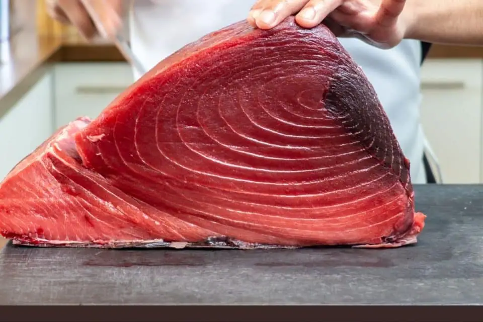 The 5 Most Expensive Tuna Species in the World