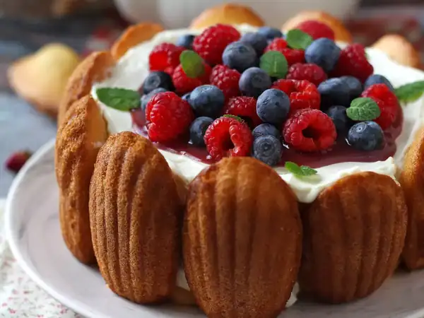 Red fruit charlotte with vanilla cream and madeleines