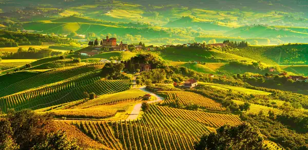 Restaurants open on Sundays in the Province of Modena