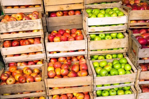 Apples were key to Brazil's record exports in the first half of 2026