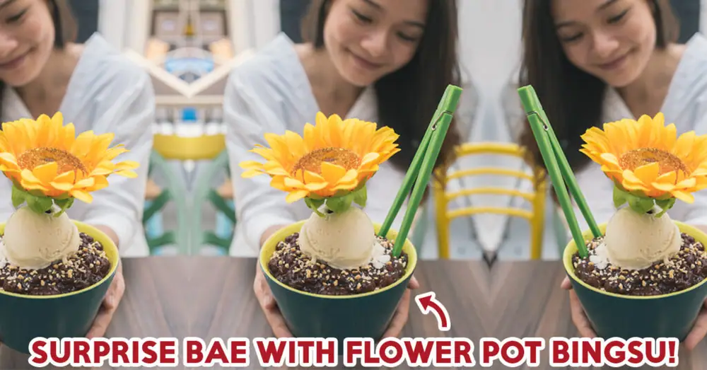 Banana Tree Review: Win Bae Over With A Pretty Flower Pot Bingsu On Valentine’s Day
