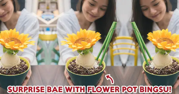 Banana Tree Review: Win Bae Over With A Pretty Flower Pot Bingsu On Valentine’s Day