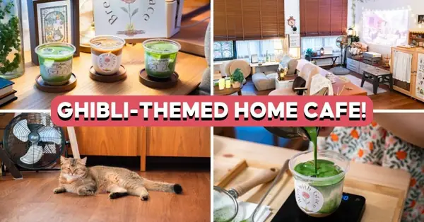We Found A Studio Ghibli-Themed Sengkang Home Cafe With A Cute Cat Named Totoro