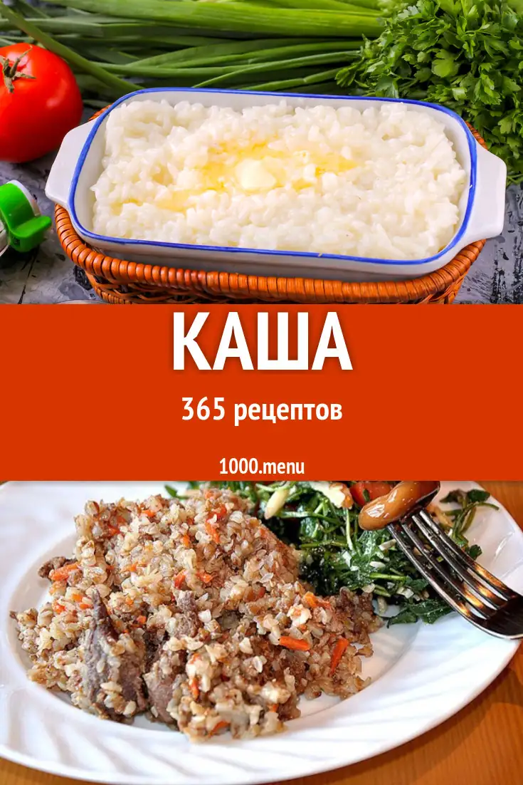 Porridge for breakfast and more: 529 delicious homemade recipes