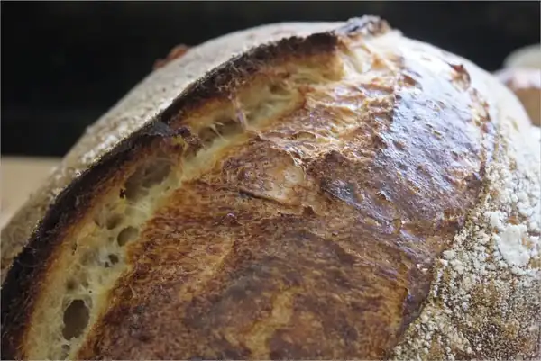 Mi pan de masa madre con levadura “joven”
