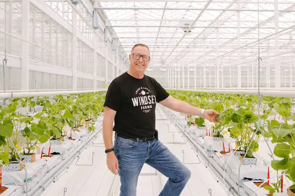 Windset Farms starts planting at new 38-acre ultra-lit greenhouse in Delta, British Columbia