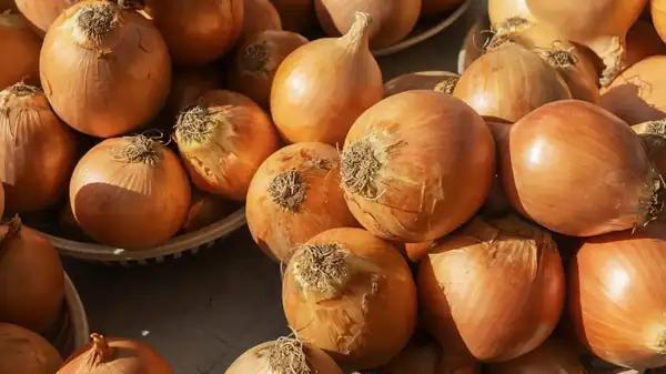 Onions: Should we really fear a shortage in France?