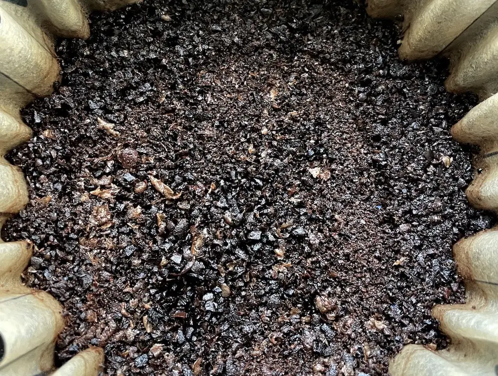 Investigadores coreanos convierten los posos de café húmedos en biocarbón en 90 segundos.