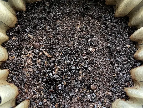 Korean Researchers Turn Wet Coffee Grounds Into Biochar in 90 Seconds