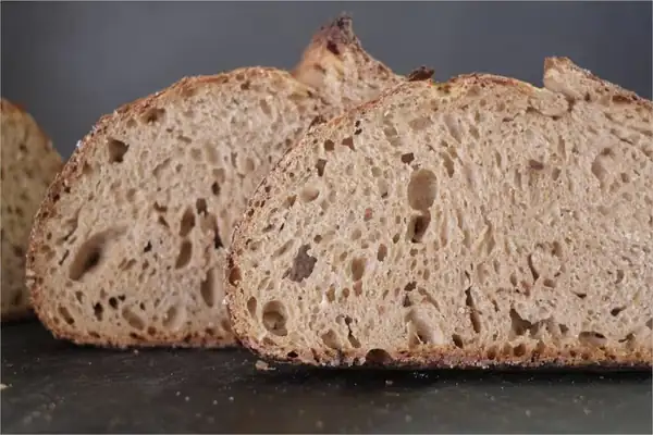 Ninety-Five Percent Whole Grain Sourdough