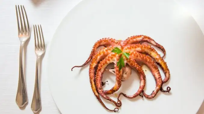 Homemade octopus: a recipe from Chinappi Restaurant