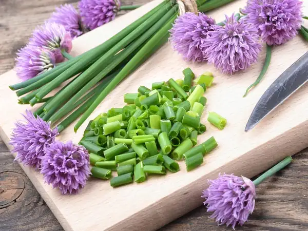 chives