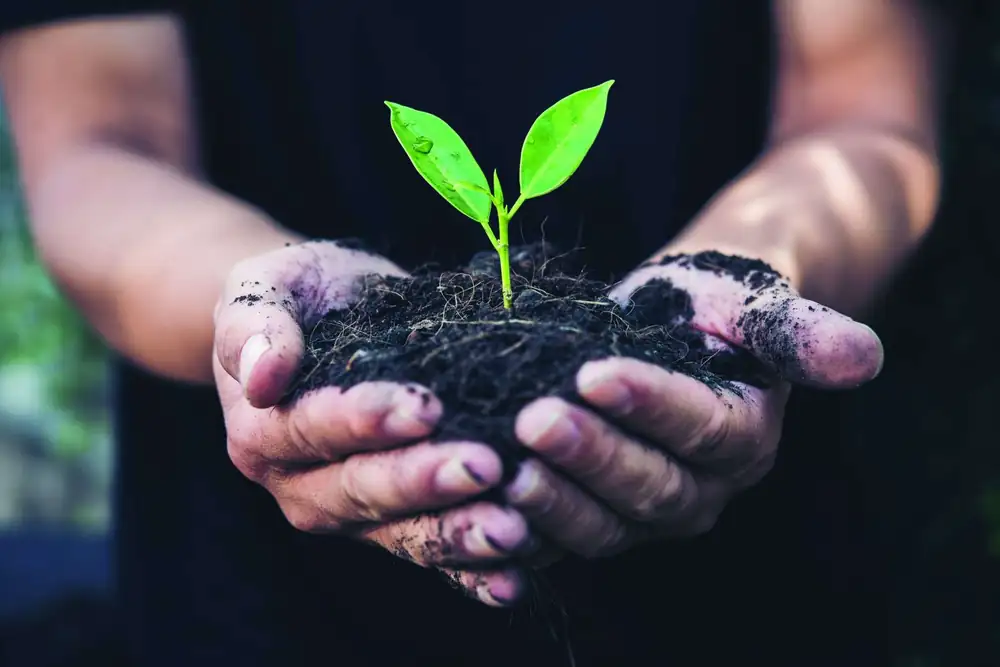 Enartis: the vegetal turning point in the clarification process