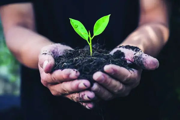Enartis: the vegetal turning point in the clarification process