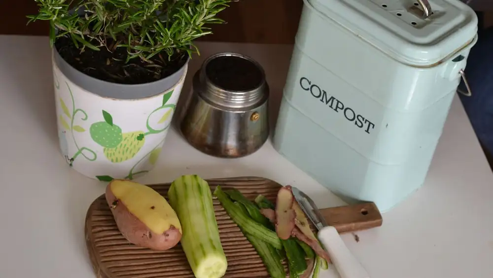What is circular gastronomy and how does it impact the future of food?