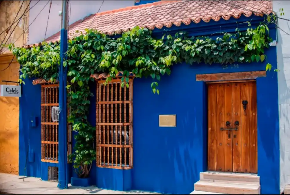 Celele is the most sustainable restaurant in the world