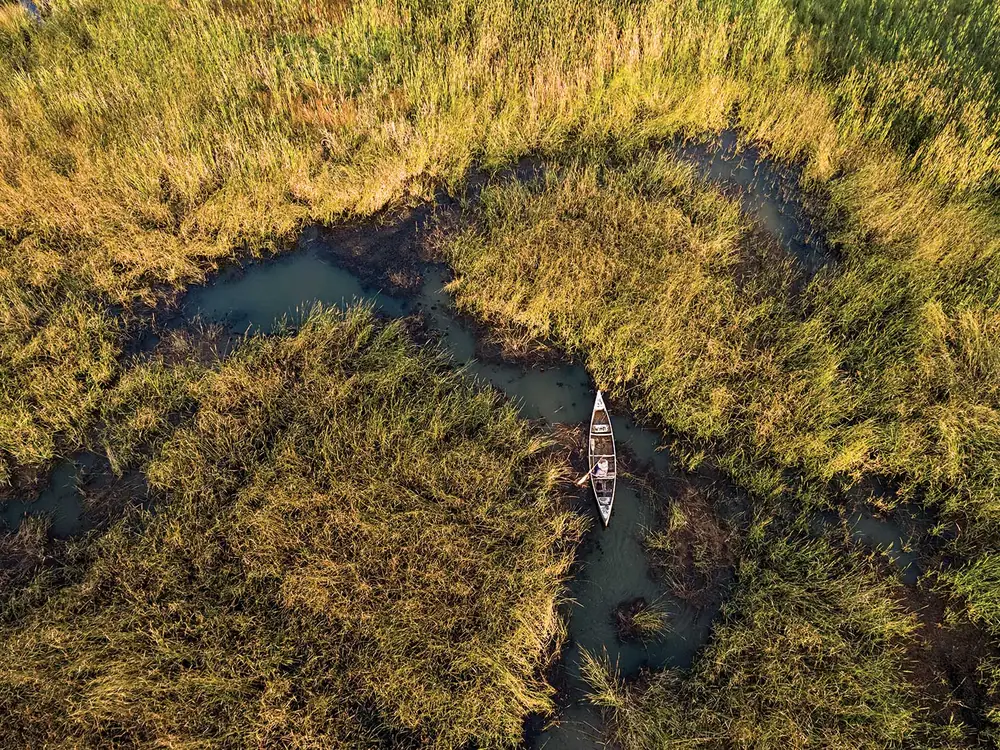 The True Story of Wild Rice, North America's Most Misunderstood Grain