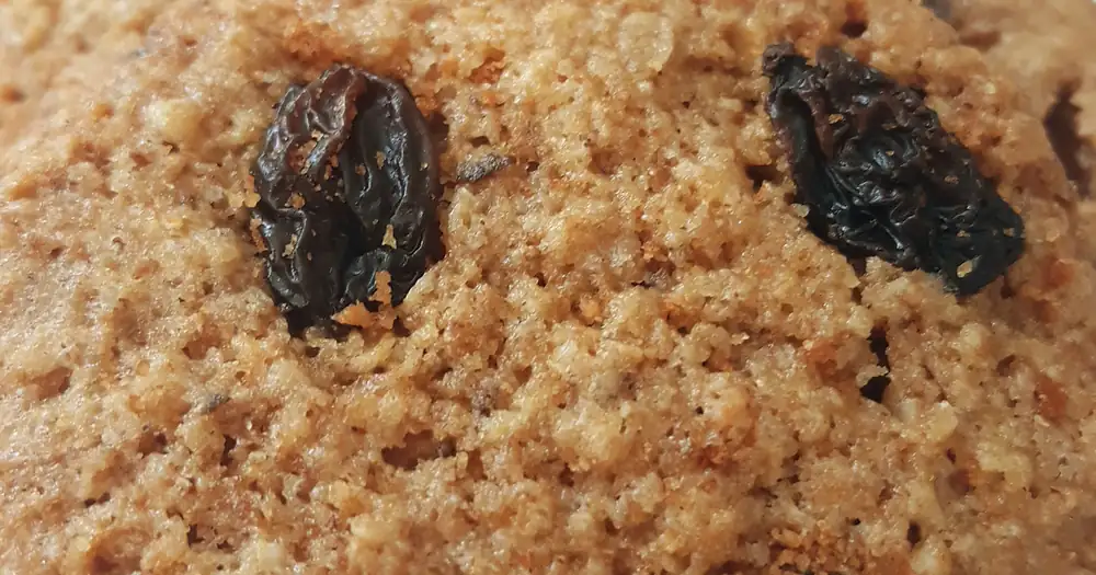 Whole Wheat Cookie Recipe by Julia Florim, submitted by Julia
