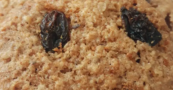 Whole Wheat Cookie Recipe by Julia Florim, submitted by Julia