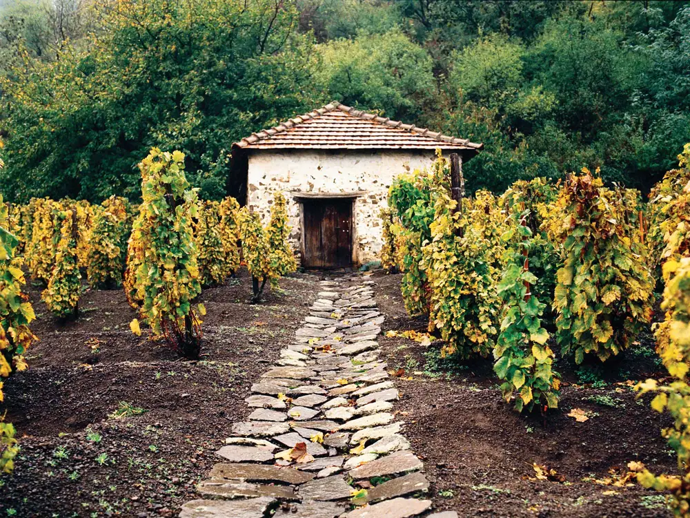 Hungary's Forgotten Wine Region is Finally Getting the Respect it Deserves