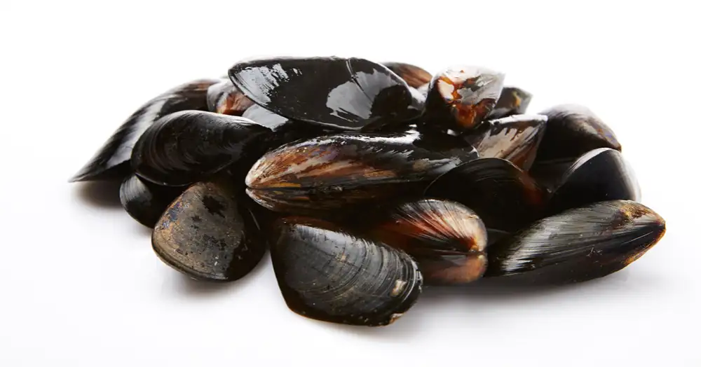 [Seasonal Recipe] Mussels that make the broth refreshing