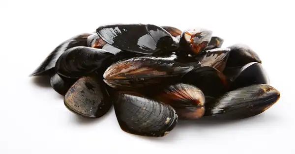 [Seasonal Recipe] Mussels that make the broth refreshing
