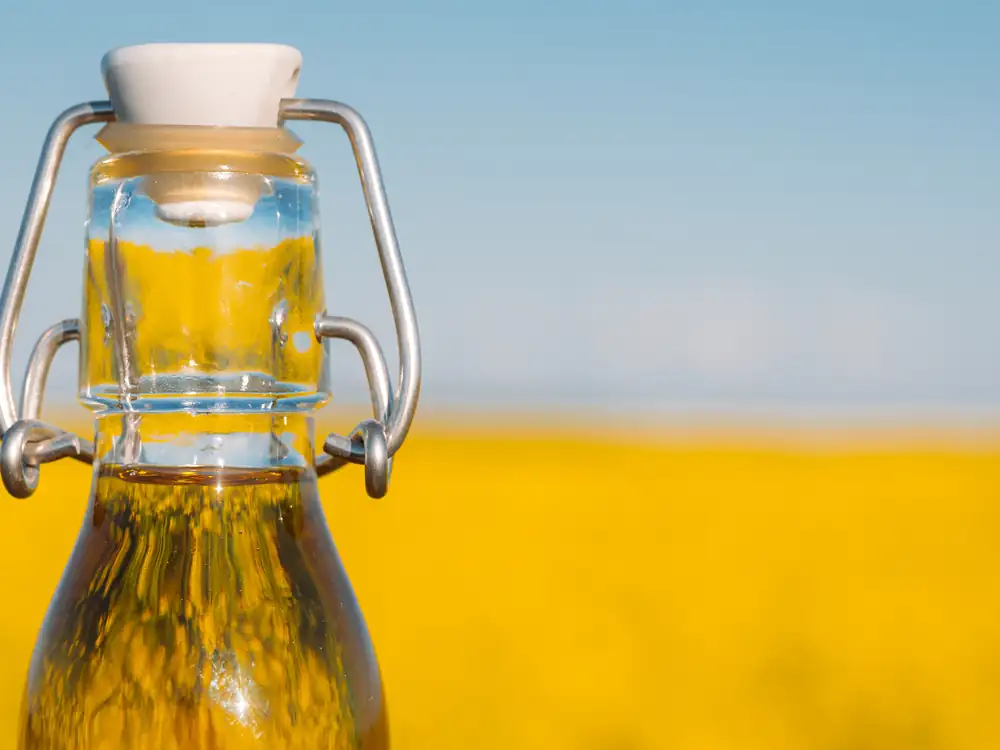 Rapeseed oil tested: These oils impressed Stiftung Warentest