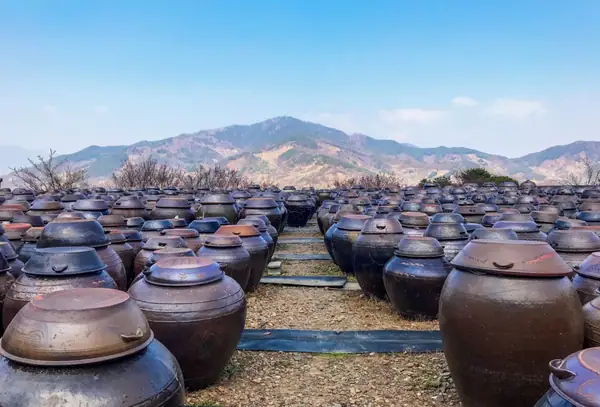 A Korean Ingredient Smuggler Goes Clean