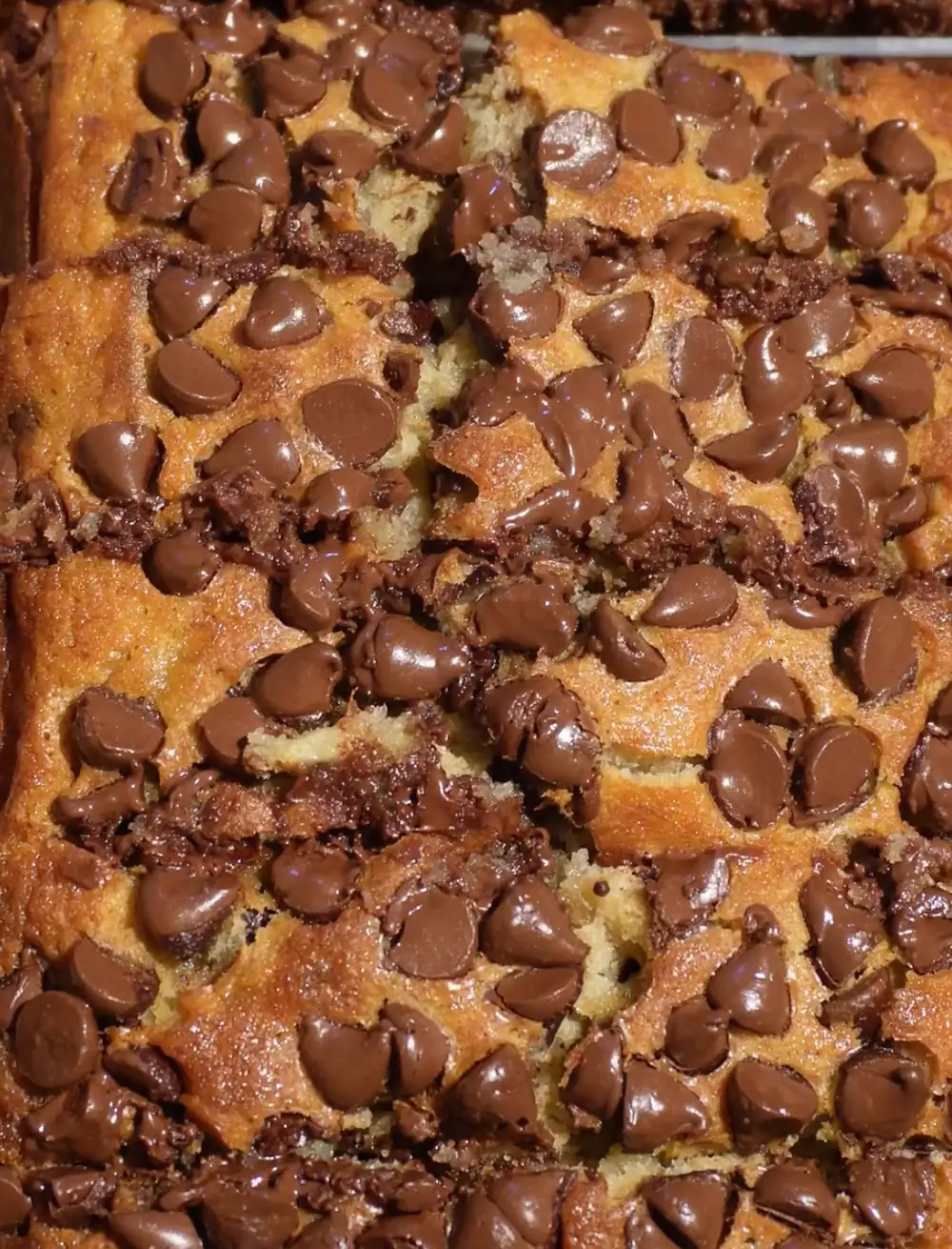 Chocolate Chip Banana Bread