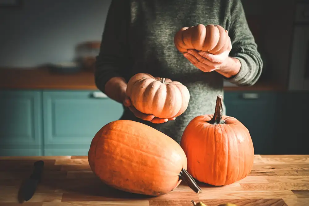 How to tell if a pumpkin is good for cooking