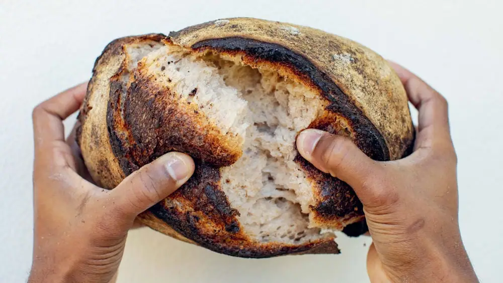 La masa madre del Nuevo Mundo no es precisamente nueva
